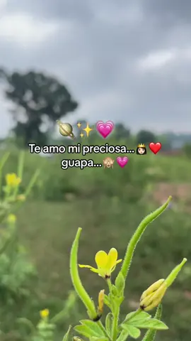 #paratiii #amor  #fypppppppppppppppp.            #paratiii
