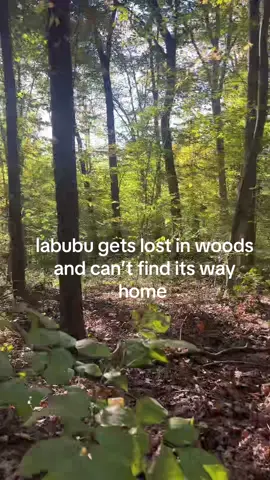 help labubu #labubu #fyp #foryou