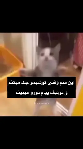 واقعاا همینه .  .  #برو_فوریو #برو_فوریو #برو_فوریو #برو_فوریو #برو_فوریو 