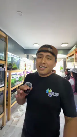 Le dije a aún niño por qué no debe tener peces 🤗🐠🐠🐠❤️#peces #pecesito #pecesitos #🐠 #fishtank #pecera #peceras 