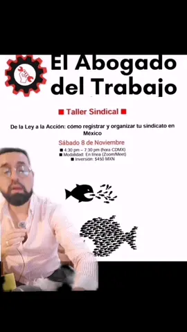 #abogadodeltrabajo #leyfederaldeltrabajo #leyfederaldeltrabajo #sindicato 