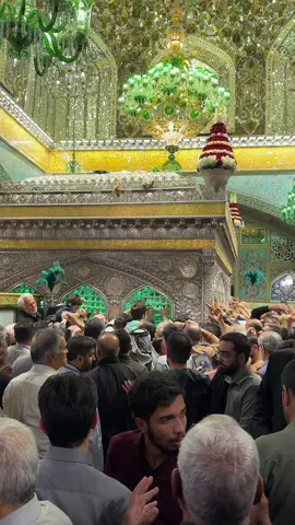 السلام على انيس النفوس وثامن الحجج حضرة السلطان علي بن موسى الرضا  #ثامن_الحجج  #ياعلي_ابن_موسى_الرضا  #انيس_النفوس  #غريب_طوس  #مشهد_المقدسة 