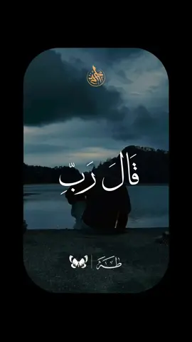 يا رب ❤️ . #قرأن #قران #quran #الشيخ_محمود_الشحات_انور #محمود_الشحات 
