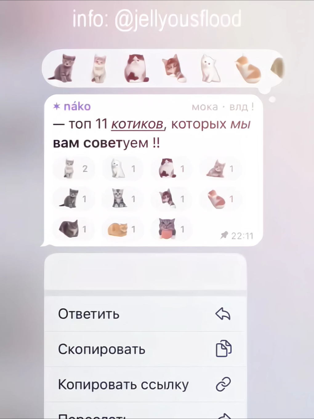 #MOKA — котеки🩷🩷🩷  id: @хикари флуд 🧸 #флудкпоп #illit #fyp #jellyous 