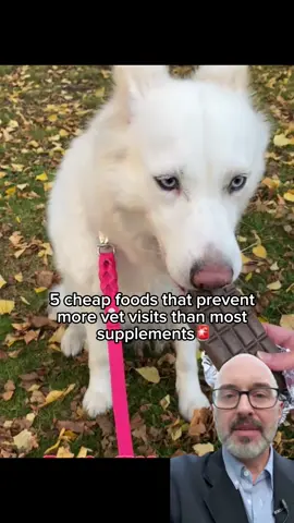 #dog #rescuedog #fyp #viral #dogtips 