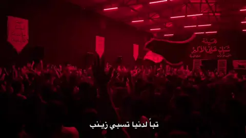 أخ يامولاتي يا زينب 💔💔#ياصاحب_الزمان_ادركنا #يازينب #محمدباقرالخاقاني #اكسبلور ##يارب 