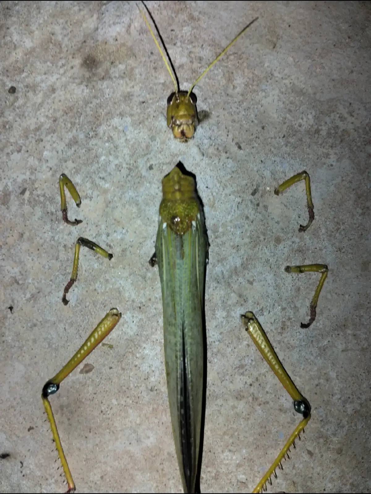 #dexter #icetruckkiller #brianmoser 