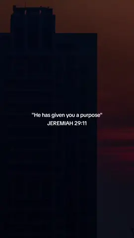 JEREMIAH 29:11 #viral #fyp #bible #bibleverse #god 