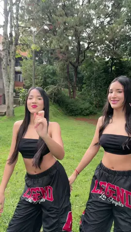 #lasgemelasdelfree 