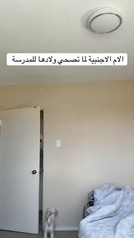 #براندون_بيشو #كندا🇨🇦 