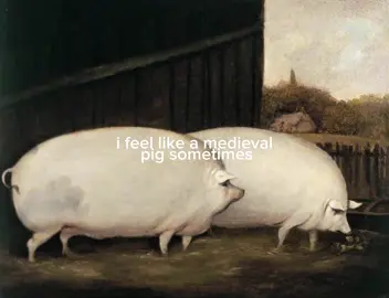 brother may i have oats #pig #medieval #me #fyp 