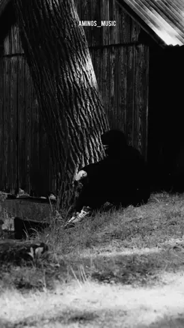 #fyp #تونس_المغرب_الجزائر #aminos_music #ليبيا #gga 