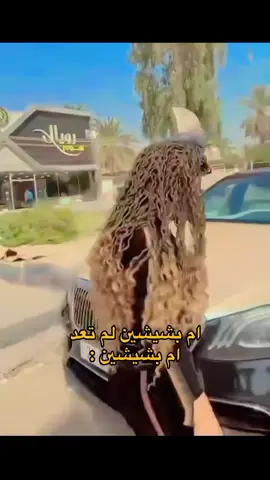 #اكسبلورexplore #العراق #زينب_بنت_الديوانيه 
