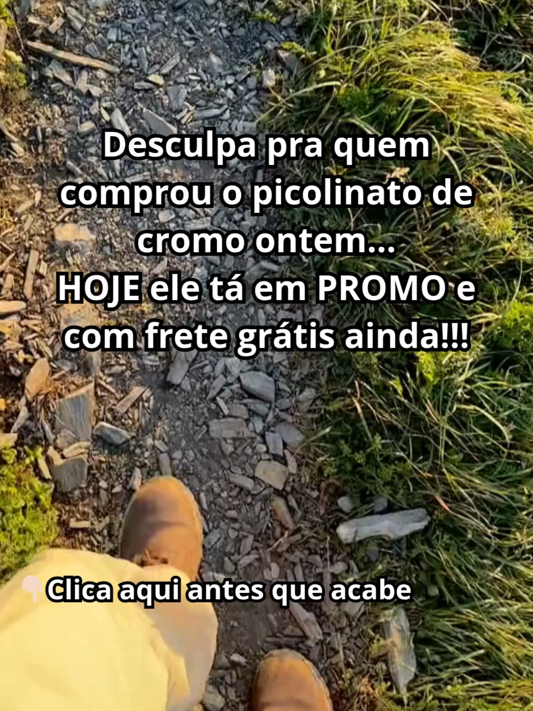 #picolinatodecromo #picolinato #academia #shape