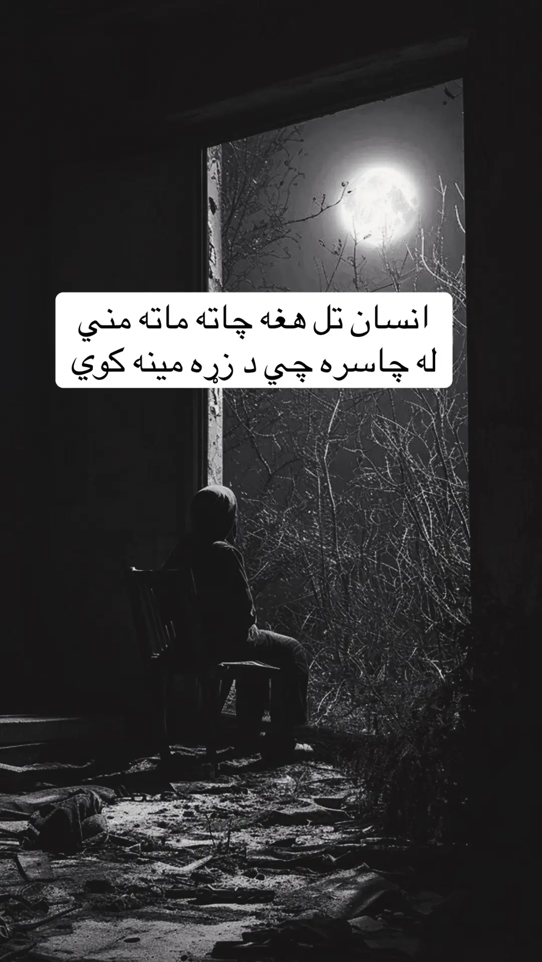 #تاجیک_هزاره_ازبک_پشتون_ترکمن🇦🇫 