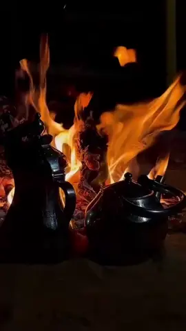 عشت الطموح وتعرضت العتب والملام  #عبدالاله_العالي #اكسبلور #ترند #خالد_ال_بريك #شيلات 