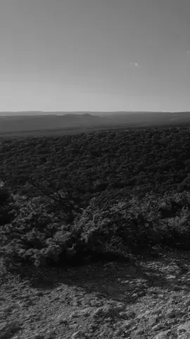 Gospel songs.  Gospel music.  Gospel songs.  Worship songs.  Worship music.  Worship songs  #lyrics_songs #viralgospel #lyricsvideo #lyricsmusic #christian 