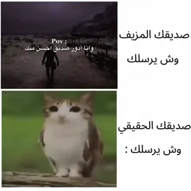 #مميز #تصميم_فيديوهات🎶🎤🎬 #ريلاكشن #مالي_خلق_احط_هاشتاقات🧢 
