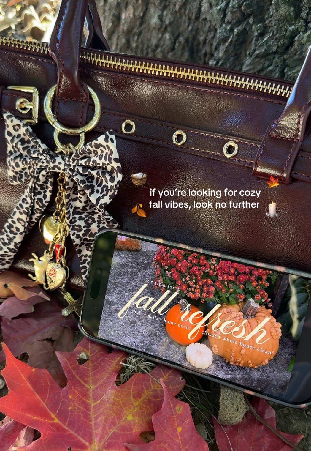 welcoming all the cozy fall vibes over on my channel☺️ #Vlog #fall #fallvibes #fallreset #CapCut 