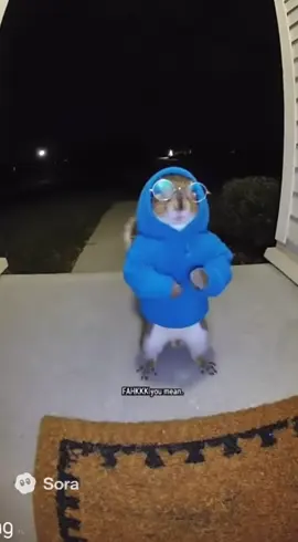 Is this supposed to be Simon 💔😭#fy #soraai #viralvideo #ai #funny 