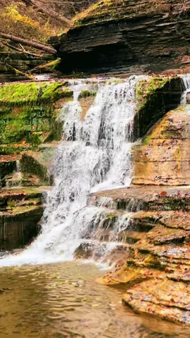 🍁🧡🥾  #HikingAdventure#earthelysium#autumn#waterfall#photography 