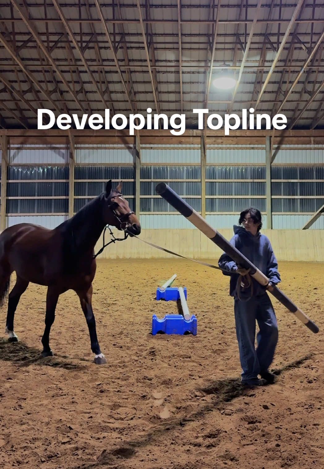 Received some questions, hope this helps! I do this about once a week. I start with 5x belly scratches to engage her core. Let me know in the comments if anyone would like a tutorial on that! ☺️ #equestrian #equine #younghorse #horsedevelopment #horsetraining 