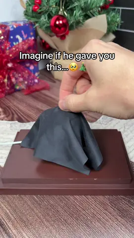 The Perfect Christmas Gift Idea 🎅🎁 #harrypotter #christmas #giftideas #fyp #potterhead 