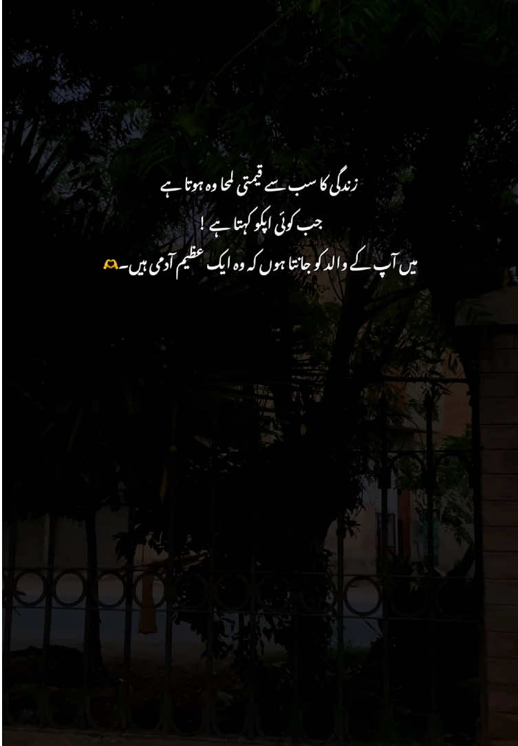 🥺❤️‍🩹#fyp #grow #poetry #viralvideos #aestheticvideos 