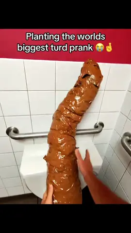 #fyp #foryoupage #toilet #bathroom #foryourpage 