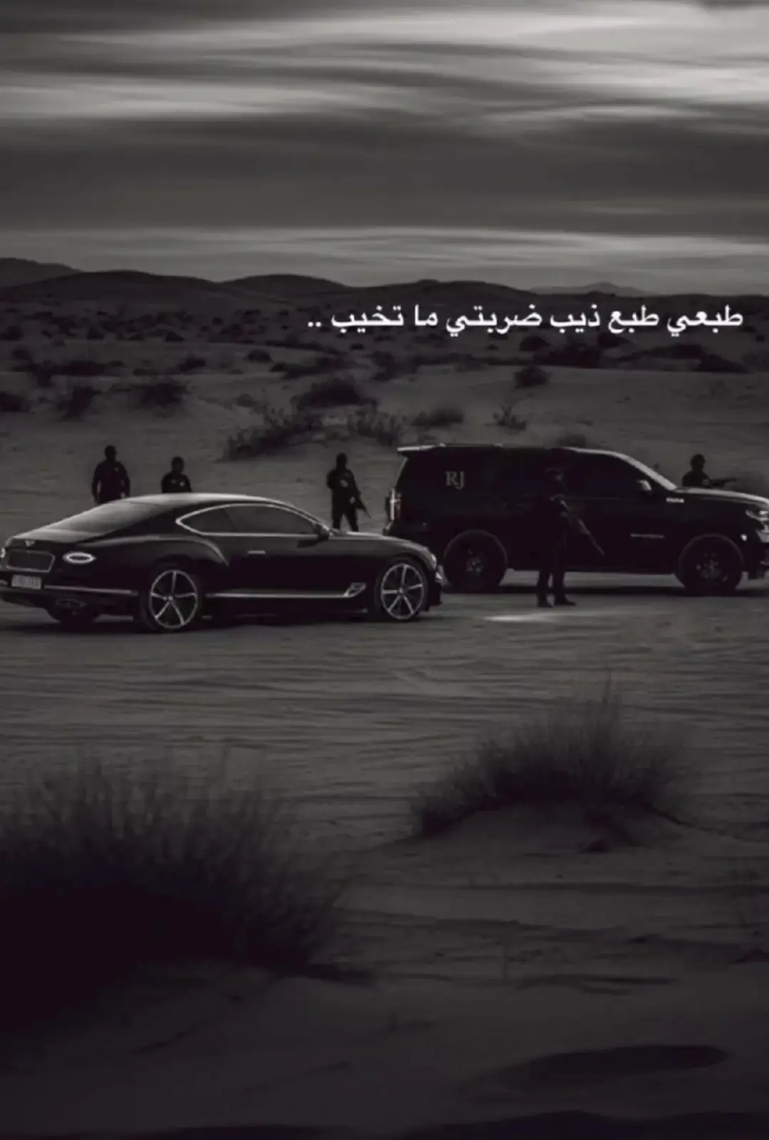 #اينعم #تصميم_فيديوهات🎶🎤🎬 #flypシ 