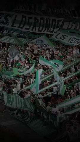 Sur Siempre Presentee 🎆⚽️💚🤍#medellin #verdolagas💚 #losdelsursiemprepresentes🔥 #atleticonacional #atleticonacional 