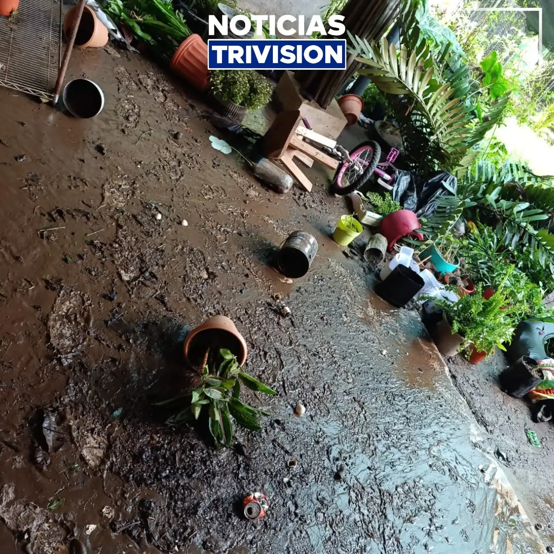 🔴#NoticiasTrivision| Vecina de la comunidad Casitas de Nicoya, resultó afectada por las recientes lluvias que provocaron inundaciones en su vivienda, por lo que solicita su ayuda por las pérdidas.  Si desea colaborar con esta familia, puede hacerlo por medio de SINPE Móvil al número 6067 2196, a nombre de Leidy Lorena Calero Loria.