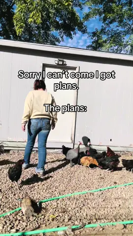 This is way better anyways #homestead #chickens #fyp