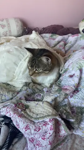 Her Halloween costume is the cutest! 