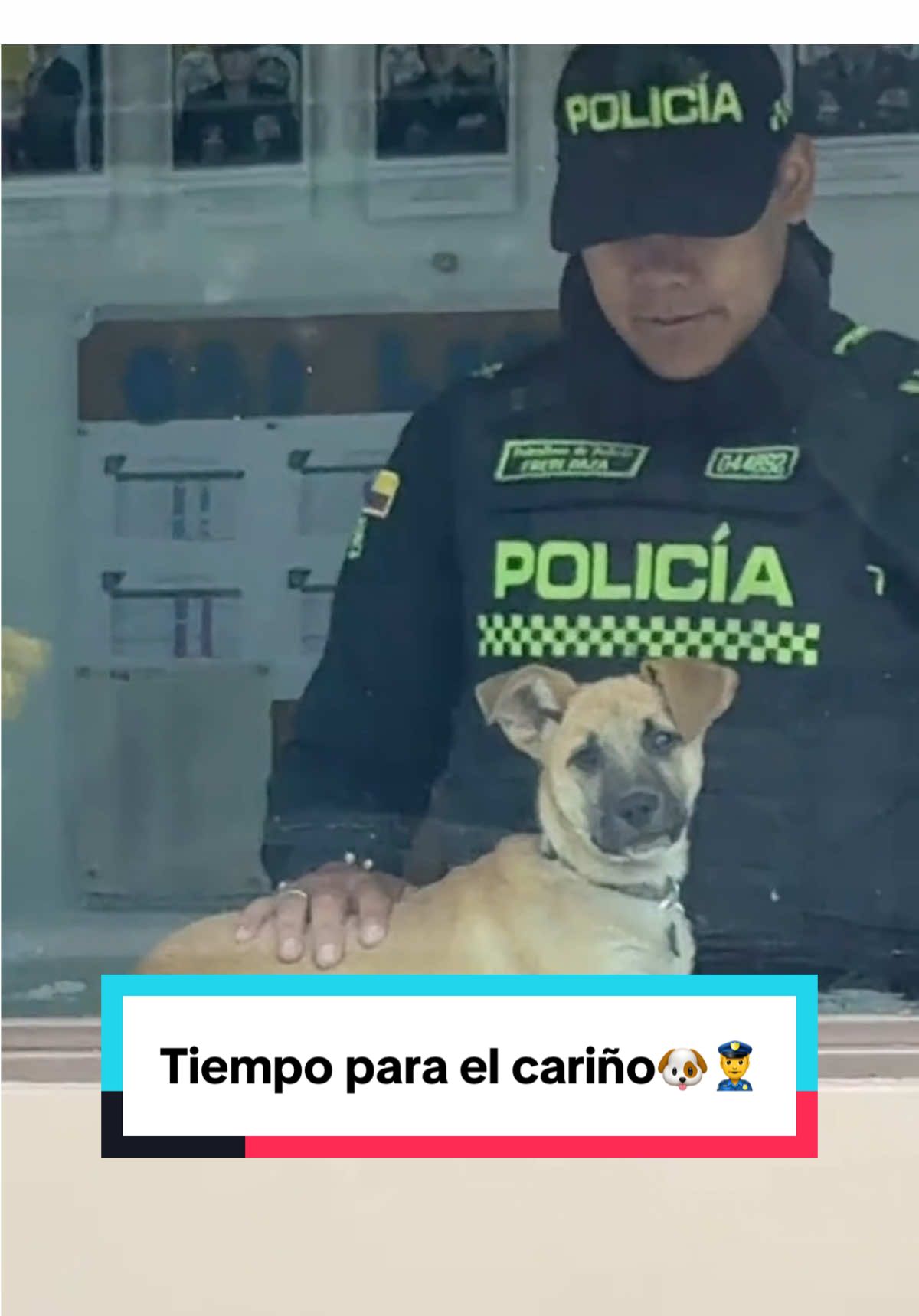 🐶💚 ¡Nos pillaron! 😅 Entre patrullas y jornadas de servicio, también hay tiempo para el cariño y la ternura. #YoProtejoLosAnimales  #police #compañeroperruno 