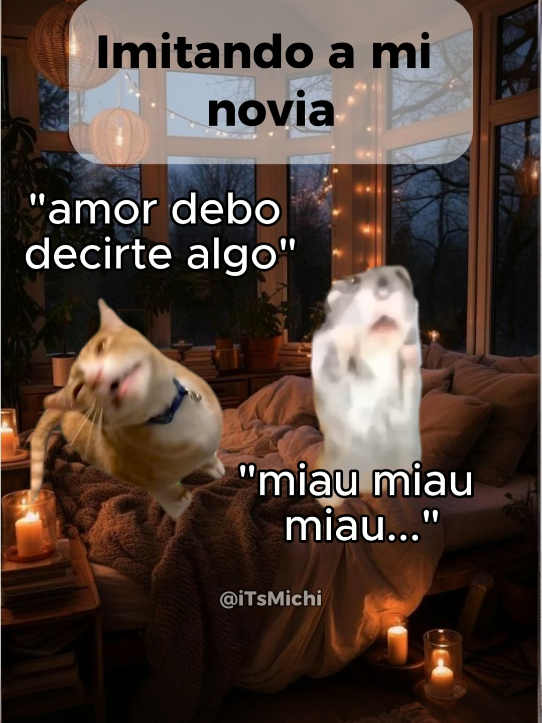 Se lleva pero no se aguanta jsjsjs #iTsMichi #iTsMichiland #relatable #catmeme