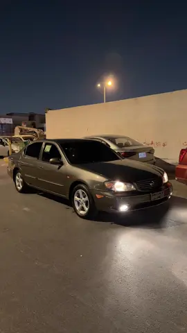 حننون😢✌🏻. #مكسيما #اكسبلور #النسيم #الرياض 