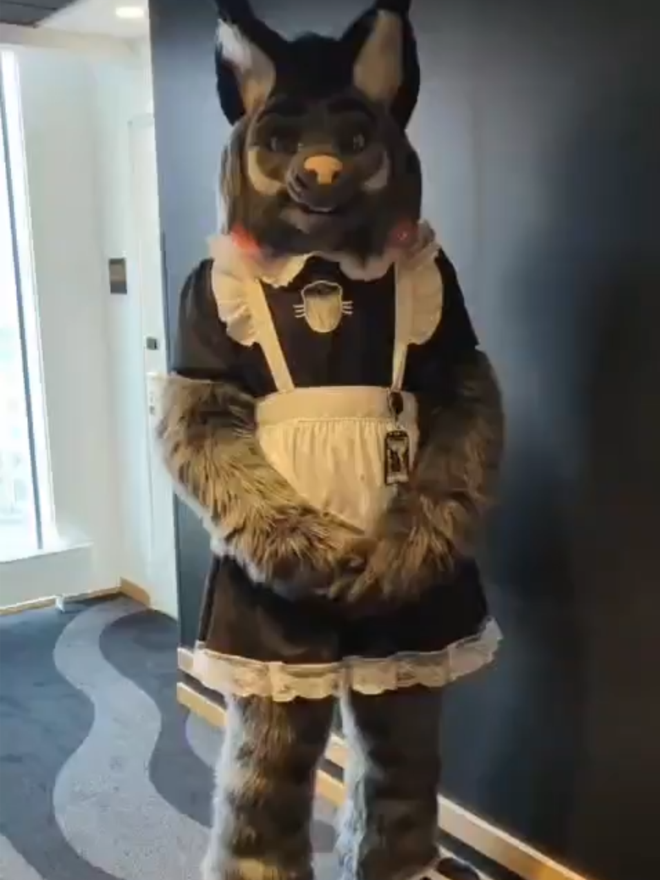 [Fursuit Showcase] Newly adopted European and American pet dog furry dog ​​wearing maid costume and wagging its tail at you【兽装展示】刚领养回来穿上女仆装对着你摇尾巴的欧美系宠物狗兽人#clothes #cat #satisfyingvideo #toy #funny #cute #ornaments #dog #creative #pet #foryourpage #fyp #tiktok #tiktokmademebuyit #viral #laugh #gamermac #teamwork #skibidi #furrytiktok