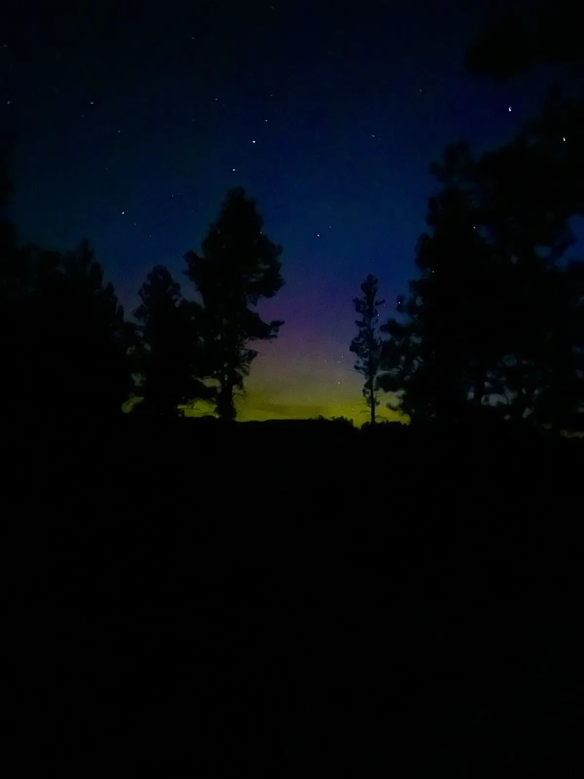 Vanlife Views I don’t want to forget. I travel to document my memories for when I can no longer travel. #nomadlife #mollyjanehitstheroad #TravelMemories 