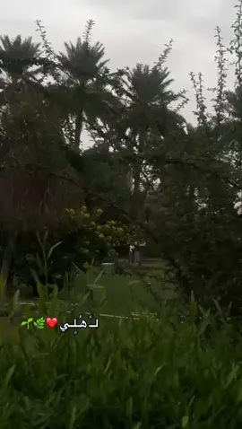 #اهلي_عائلتي #الحب_كله #مدينتي_الجميلة #بغداد #اكسبلورexplore 