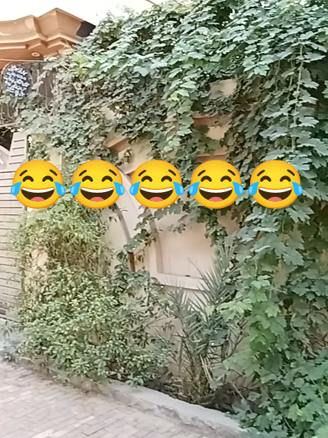 #100k #funyy_videos #arain #hahaha #foryoupage❤️❤️ 