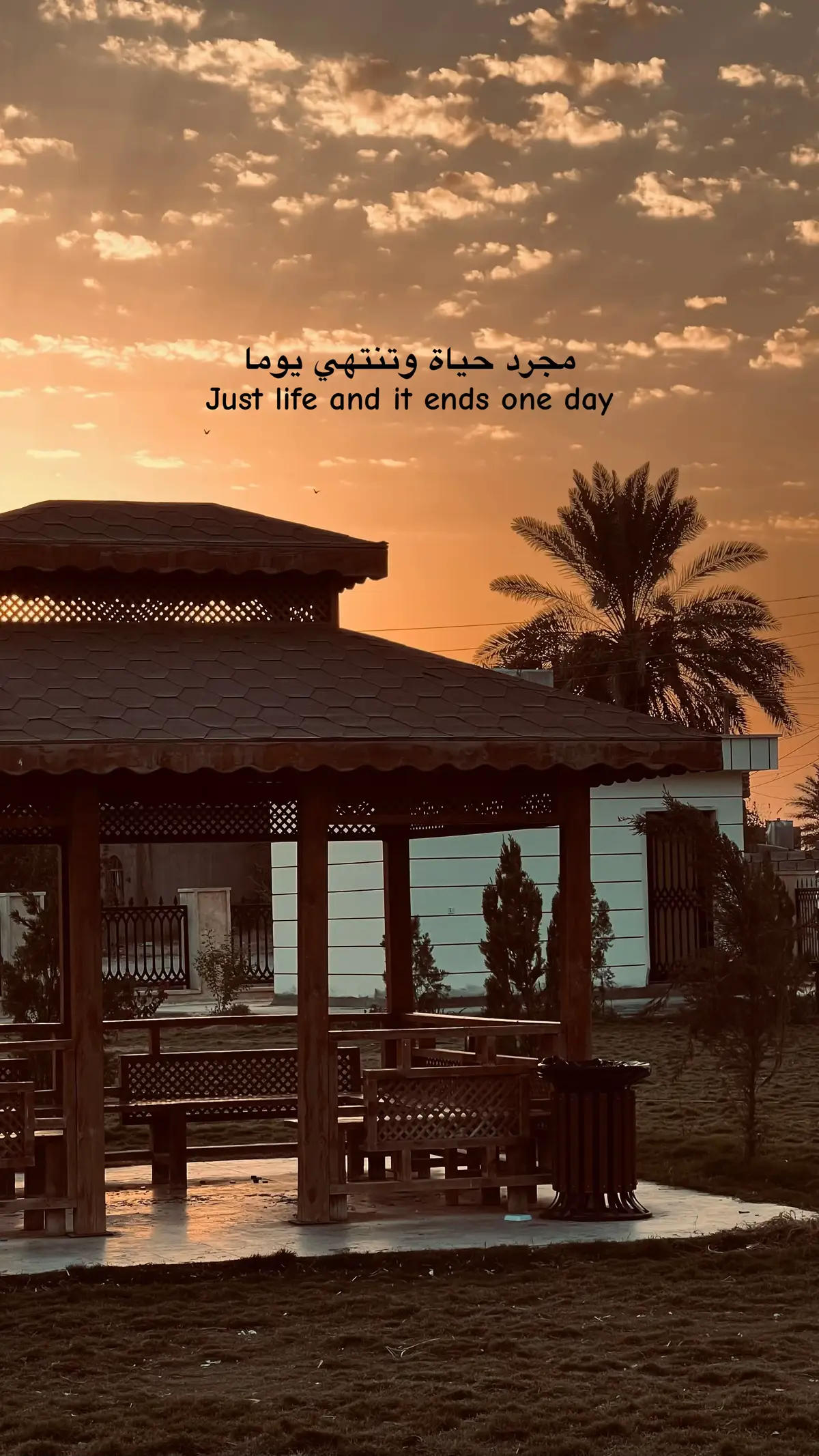 #viral  #fyp  #foryou  #foryoupage  #العلم 