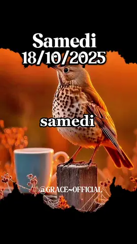 #creatorsearchinsights #Dieu #prière #prieredumatin #fyp 
