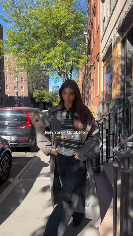 I WAS WAITING FOR THIS 🫠 #fall #nyc 