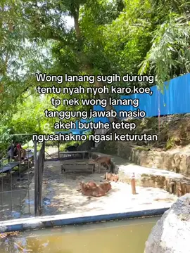 Mugo ditemukne karo wong iso sg tanggungjawab #jowopride #storyjowo #ponorogo24jam #fyp 