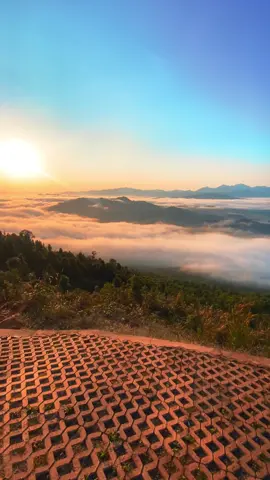 Update tahura hari ini  sabtu , 18 okt 2025 #tahura  #jasafototahura #sunrisetahura #tahurasultanadam #tahurasultanadammandiangin #wisatakalsel #wisatakalimantanselatan #puncaktahura #lautanawan 