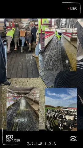 Rubber install #robots #legand #wisco #fyp #dairy 