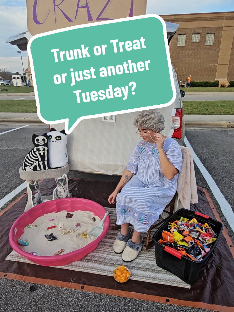 #trunkortreat #halloween #catlover 