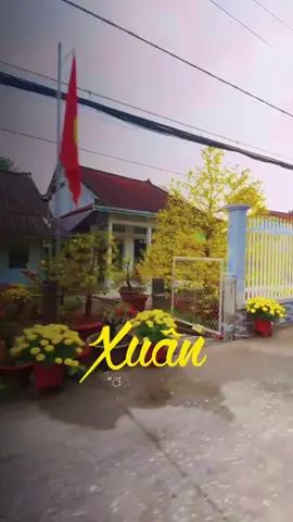 🌸🌸🌸🌸🌸🌸🌸🌸#nhachaymoingay #tet #tet2026 #tetnguyendan2026 #xuhuong #xuhuongtiktok #nhacnaychillphet #thanhthoiluottet 