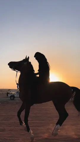#explore #خيل_وخياله🐎 #تربيع_خيل #fyp #شقراء 